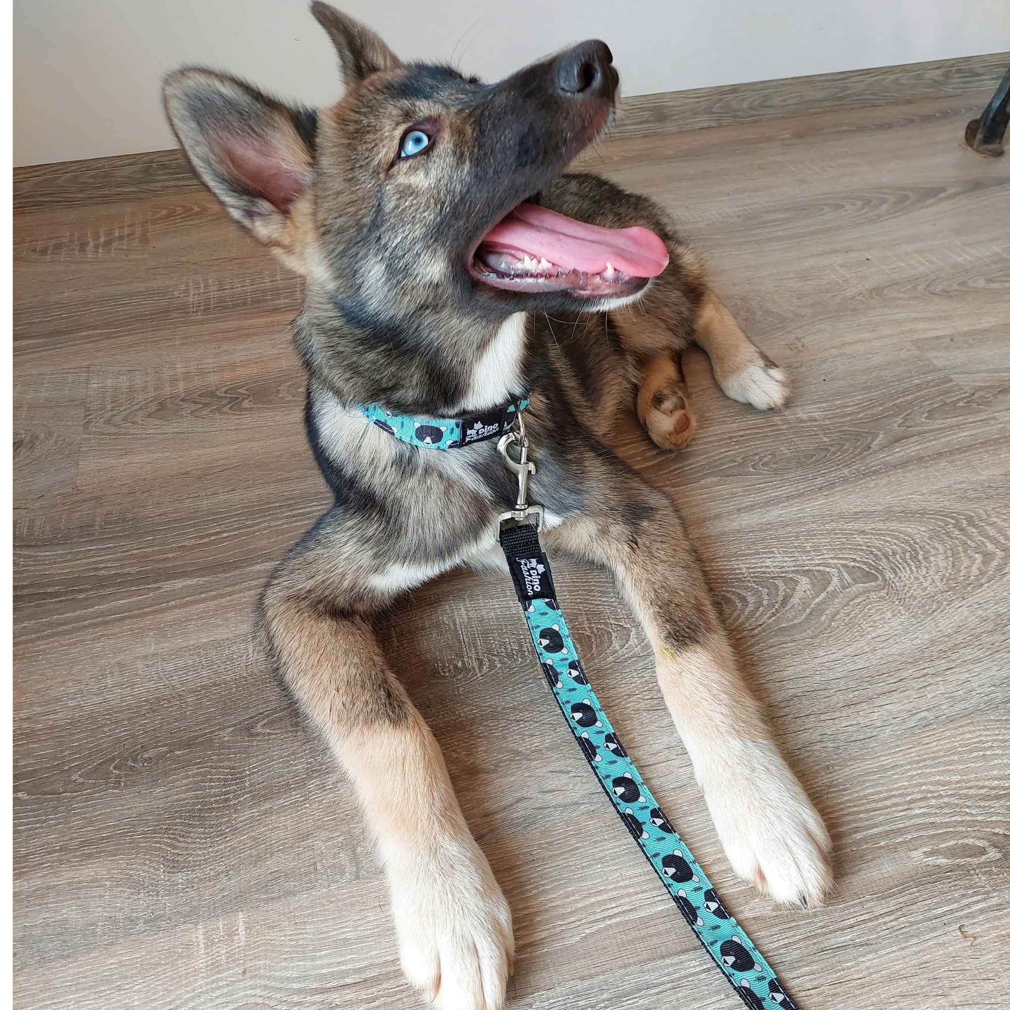 Návrh bez názvu - 2026-02-01T231528.001